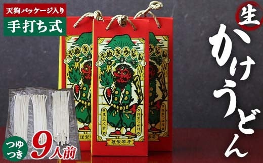 天狗パッケージ入り 【かけうどん9人前】 うどん 麺 麺類 加工品 食品 F5J-966