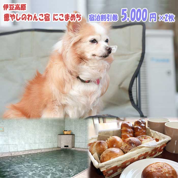 【ふるさと納税】伊豆高原 癒やしのわんこ宿 にこまめち 宿泊割引券 5,000円×2枚