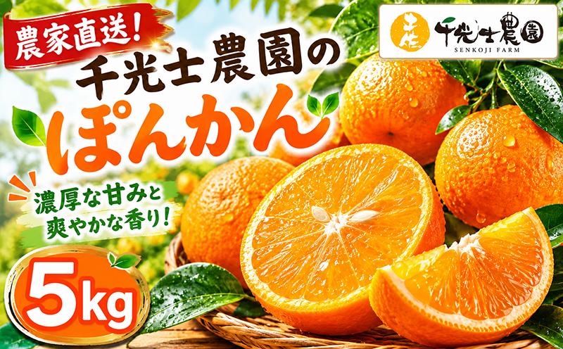 
                  【令和9年1月より発送開始】 千光士農園のポンカン 5kg 新鮮 みかん mikan 訳あり ワケあり ワケアリ 密柑 ぽんかん 甘味 甘い 先行予約 訳あり果物 くだもの フルーツ 訳あり柑橘 産地直送 農家直送 数量限定 国産 高知県 高知県安芸市 AY013
                