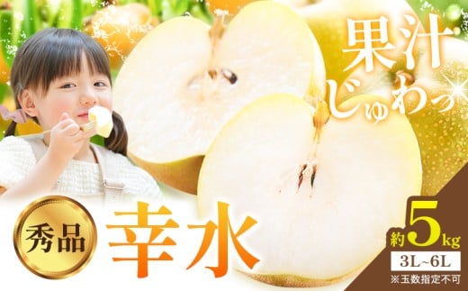 梨 幸水 秀品 約5kg 3L ～ 6L 井岡農園 《8月上旬-8月末頃に出荷予定》 栃木県 野木町 なし ナシ くだもの 果物 青果物 フルーツ