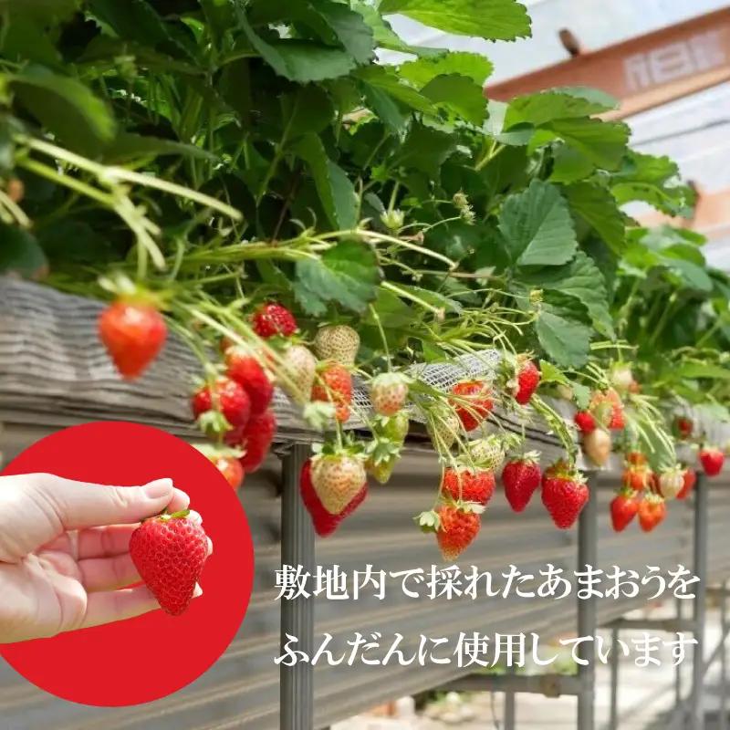 あまおうジャム3本セット ｜いちごジャム ジャム RPT