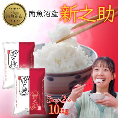 ふるさと納税 南魚沼市 【令和7年産】南魚沼産 新之助 10kg 精米 新潟県 南魚沼市
