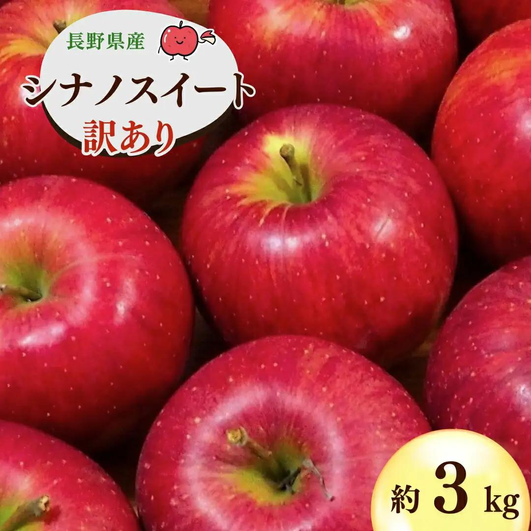 【2026年先行予約】千曲市産 シナノスイート りんご 約3kg 訳あり 家庭用 | りんご