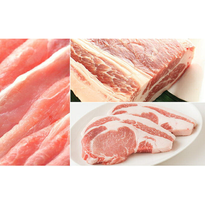 【ふるさと納税】豚肉 讃岐もち豚 3種 ロース スライス ブロック 各1000g テキカツ 100g × 10枚 香川県産 国産 讃岐 さぬき ぶた肉 お肉 もち豚 豚ロース 塊肉 とんかつ ステーキ しゃぶしゃぶ 臭みが少ない 贈答 ギフト 協同ミートプロダクト 香川県 綾川町