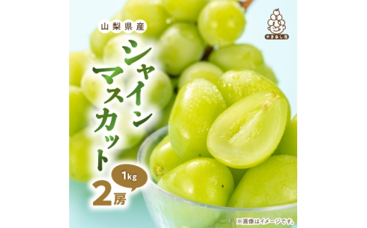 2027年発送先行受付 厳選　池田青果のシャインマスカット2房　1kg ふるさと納税【1370913】