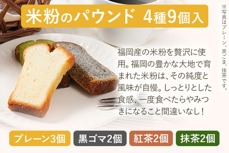 野菜・米粉のパウンドセット パウンド お取り寄せグルメ お取り寄せ 福岡 お土産 九州 福岡土産 取り寄せ グルメ 福岡県