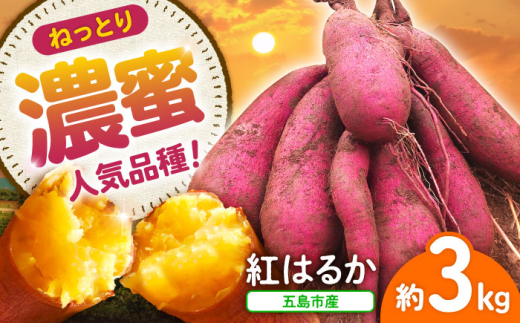 【2026年11月より発送】島の元気なさつまいも!ねっとり甘い『紅はるか』3kg 五島市/あわたに農園 [PGO001]