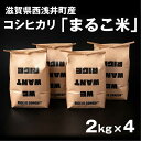 【ふるさと納税】すぐ届く【令和6年産】コシヒカリ 8kg (2kg×4) 選べる精米方法 滋賀県西浅井町産まるこ米　長浜市/ONE SLASH [AQCZ004] 米 お米 白米 玄米 8kg こしひかり すぐ すぐ発送 すぐ来る