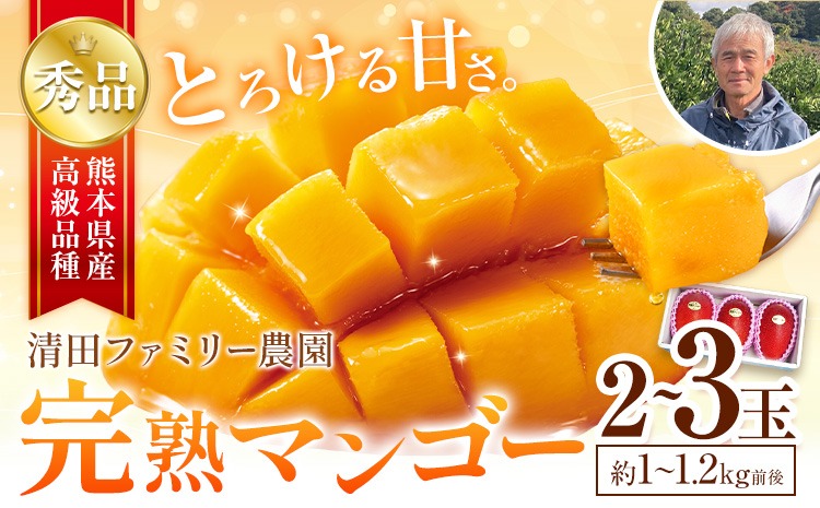 くまもと完熟マンゴー 2～3玉(約1kg～1.2kg前後) 熊本県玉名郡玉東町『清田ファミリー農園』マンゴー 完熟 秀品【日付指定不可】《5月下旬-8月末頃出荷》---gkt_kyfm_2_1kg---