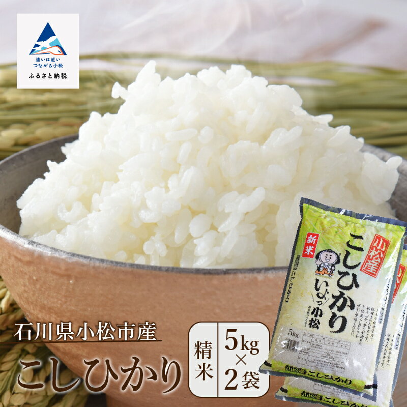 【ふるさと納税】 先行予約 こしひかり 10kg （ 5kg × 2袋 ） 令和7年度産 米 精米 コメ お米 小松市産 石川県産 国産米 10キロ 石川県 小松市 北陸 【JA小松市】01503