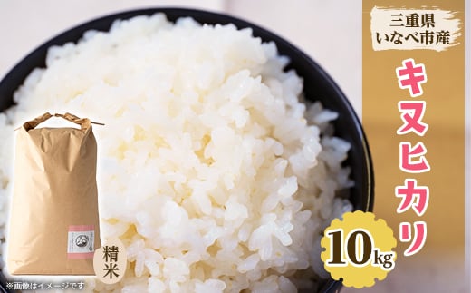 
            令和7年産　キヌヒカリ 10kg【1431744】
          