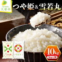 【ふるさと納税】＼受付開始／ つや姫 & 雪若丸 セット 10kg 5kg×2品種令和6年産 新米 先行予約 米 コメ こめ おこめ お米 精米 ブランド米 食べ比べ ごはん 白米 ご飯 おにぎり 弁当 5kg 袋 小分け お取り寄せ 食品 送料無料 【 山形県 天童市 】