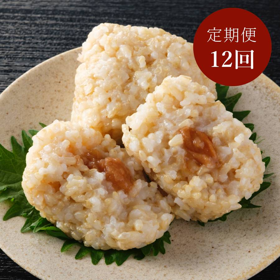 ＜アイガモの谷口＞”農薬不使用栽培米”「玄米おむすび」2種セット（塩・梅）各6個（計12個）【12ヵ月定期便】