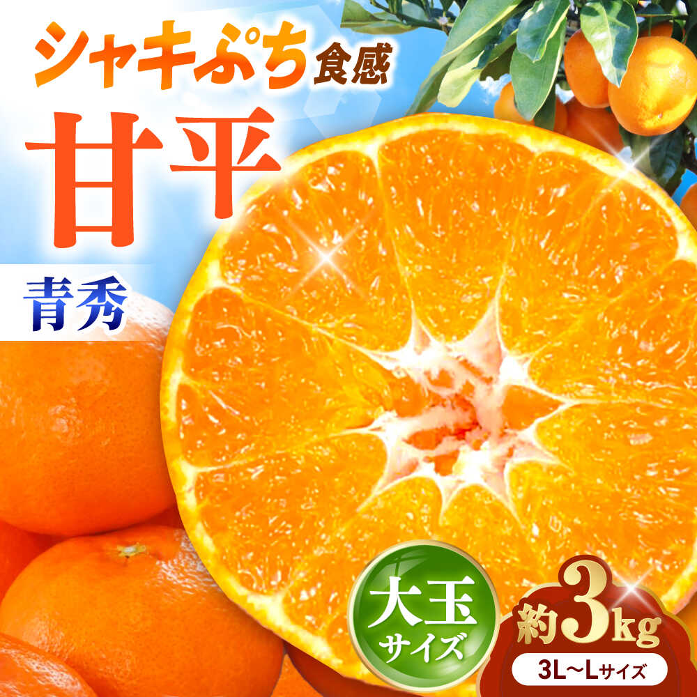 【ふるさと納税】みかん 甘平 青秀 約3kg 3L-Lサイズ【1月中旬から2月中旬まで順次発送】 / フルーツ 果物 蜜柑 ミカン オレンジ 甘い 先行予約 3kg 愛媛 希少 酸味少ない 果汁 旬 プレゼント ギフト 人気 おすすめ / 愛媛県砥部町/えひめ中央農業協同組合[BJCG005]