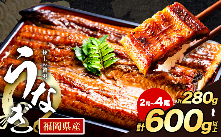 
             うなぎ 鰻 福岡県産 鰻の蒲焼き 数量限定 2尾 280g 4尾 600g 以上 HOMIE《45日以内に出荷予定(土日祝除く)》福岡県 鞍手郡 鞍手町 鰻 蒲焼き 数量限定 国産 蒲焼 うなぎ蒲焼  (1尾あたり120g-180g以上) st-p
          