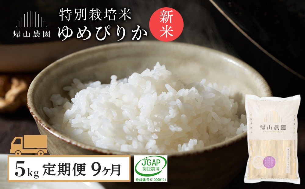 【令和8年産新米予約】 【9カ月定期便】特別栽培米産地直送「ゆめぴりか 5kg」《帰山農園》