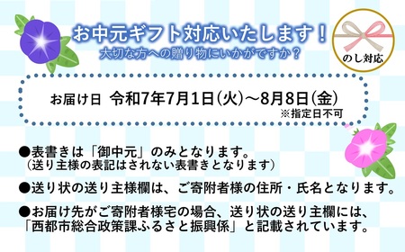 【お中元】妻地鶏炭火焼詰合せ45　100g×8パック＜1.5-113＞