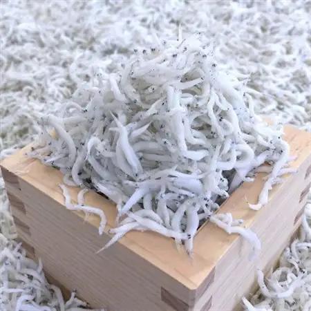 冷凍釜揚げしらす500g(100g×5袋)【配送不可地域：離島】【1296362】