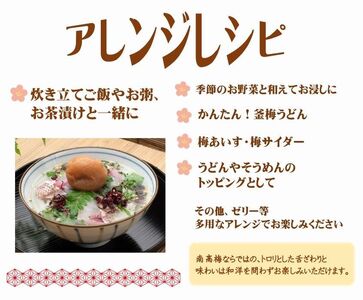 【7023】紀州南高梅しそ 塩分約15％（500ｇ）