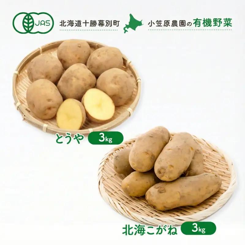 先行予約 有機じゃがいも2種 6kg 北海こがね とうや