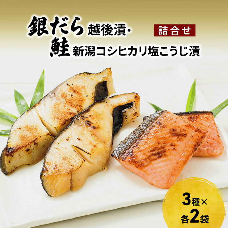 【ふるさと納税】銀だら越後漬・鮭新潟コシヒカリ塩こうじ漬 詰合せ（6P） 魚介類 魚貝類 加工食品