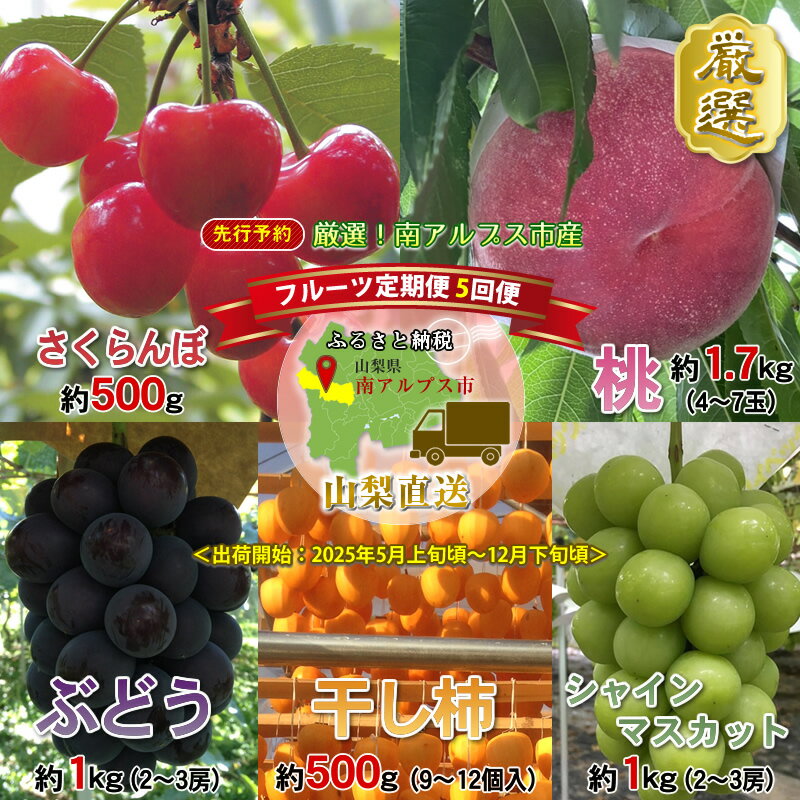 【ふるさと納税】 ＜2025年発送分先行予約＞厳選！南アルプス市産　『フルーツ定期5回便』 さくらんぼ・もも・黒ぶどう・シャインマスカット・干し柿 ふるさと納税 果物 フルーツ 葡萄 シャインマスカット おすすめ 山梨県 南アルプス市 送料無料 ALPDD001