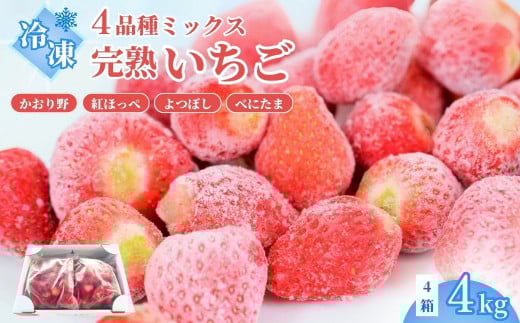 いちご 冷凍いちご4kg | いちご 冷凍 先行予約 イチゴ 苺 ストロベリー ベリー 食べ比べ 果物 くだもの フルーツ 野菜 美味しい おいしい 甘み デザート 朝食 スイーツ ギフト 贈り物 ビタミン 埼玉県 久喜市
