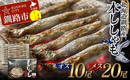 本ししゃも オス10尾・メス20尾 釧路産 本ししゃも 魚 ししゃも 魚好きのオス プチプチたまごのメス 魚介 グルメ シシャモ 北海道産 国産 魚 魚介 海の幸 F4F-8434