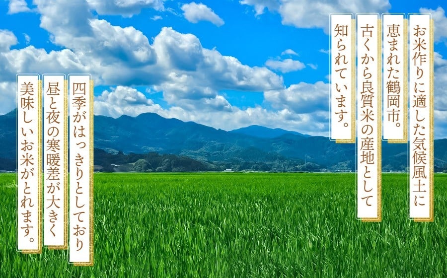 【令和8年産先行予約】 はえぬき（庄内米） 精米　5kg×1袋　農家 長四郎