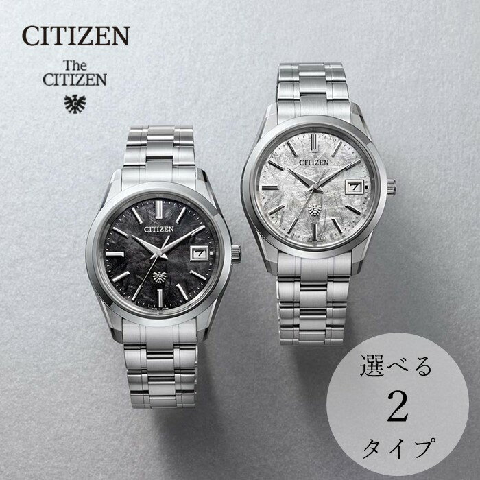 【ふるさと納税】シチズン 腕時計 CITIZEN ザ・シチズン AQ4100-57E AQ4100-57B 選択可能 メンズ 時計 プレゼント ギフト 贈答 贈り物 誕生日 記念日 お祝い ソーラー 岩手県 北上市 松村時計店
