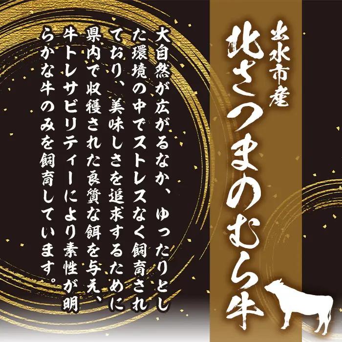 i317 ≪鹿児島県産黒毛和牛≫出水市産北さつまのむら牛 黒毛和牛＜計1kg＞サーロインステーキ(200g×2枚)、リブロース(300g×2パック)のセット！肉質のきめが細かく旨味の凝縮された牛肉をす