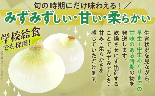  古賀市産玉ねぎ　4kg