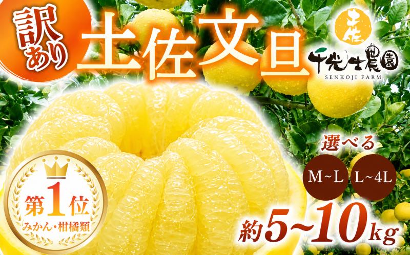 
                  【 先行予約受付 】【 R9年発送 】 土佐文旦 M～4L 約5kg 10kg 訳あり ぶんたん ワケあり 文旦 果物 柑橘類 みかん 高知県 特産品 文旦訳あり 訳あり文旦 先行予約柑橘類 贈答 ギフト 冬ギフト 家庭用 フルーツ 文旦 分担 旬 季節 果実 お取り寄せ 文旦 千光士農園 南国土佐 プリプリ 爽やか 酸味 甘い 果汁 食感 文旦 2月 3月 4月 冬 春 安芸市 高知県
                