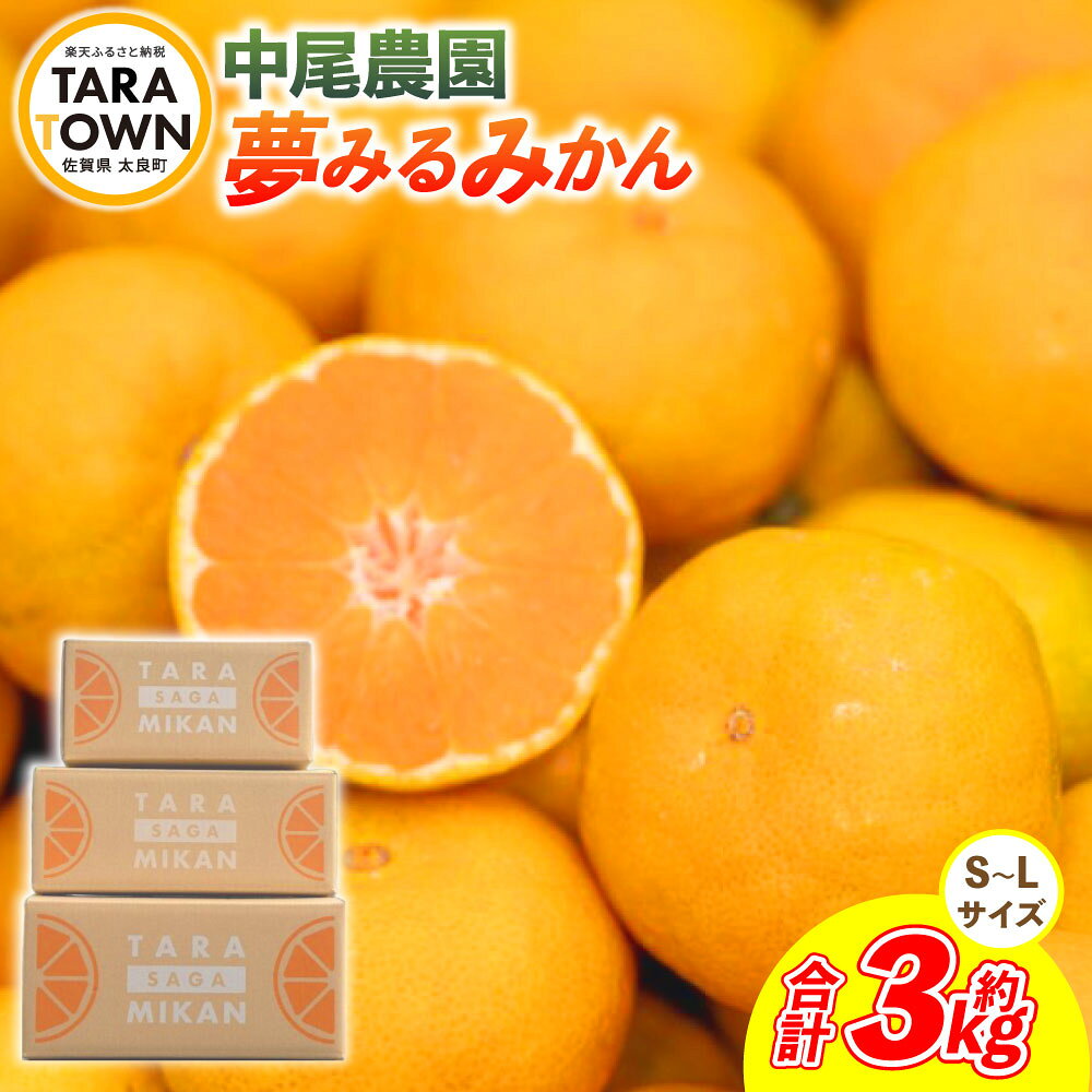 【ふるさと納税】O167x1 中尾農園の夢みるみかん（S-L）3kg 夢みるみかん 温州みかん 早生 温州 みかん ミカン 蜜柑 温州蜜柑 温州ミカン フルーツ くだもの 果物 ミネラル豊富 国産 贈答用 太良町 温州みかん 夢見るみかん 【2026年10月中旬~2027年1月下旬発送予定】