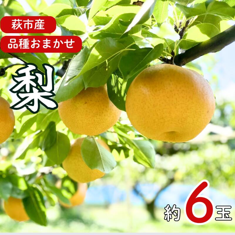 【ふるさと納税】梨 詰め合わせ 先行予約 約6玉 小川梨 季節の品種 萩産 果物 フルーツ なし ナシ スイーツ デザート 国産 日本産 食品 グルメ 食卓 山口県 萩市 美味しい おいしい プレゼント ギフト プチギフト 贈り物 お中元 人気 おすすめ 贈答用 誕生日プレゼント