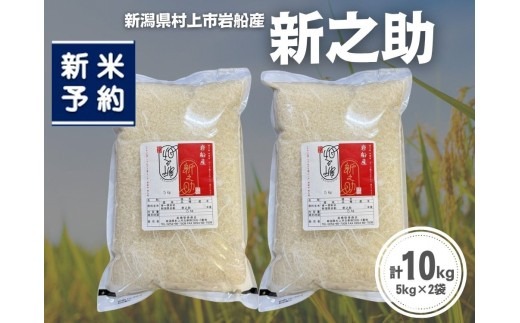 【新米受付・令和8年産米】新潟県村上市岩船産 新之助10kg（5kg×2袋）1099011N