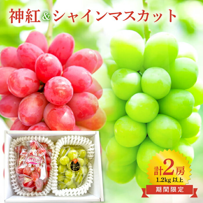 【ふるさと納税】 シャインマスカット 神紅 2種 セット食べ比べ 各1房 計2房 島根県オリジナル品種 種なし 皮ごと 高糖度 贅沢 欲張り 詰め合わせ フルーツ 果物 くだもの ぶどう ブドウ 葡萄 マスカット 先行予約 数量限定 季節限定 特産品 お取り寄せ