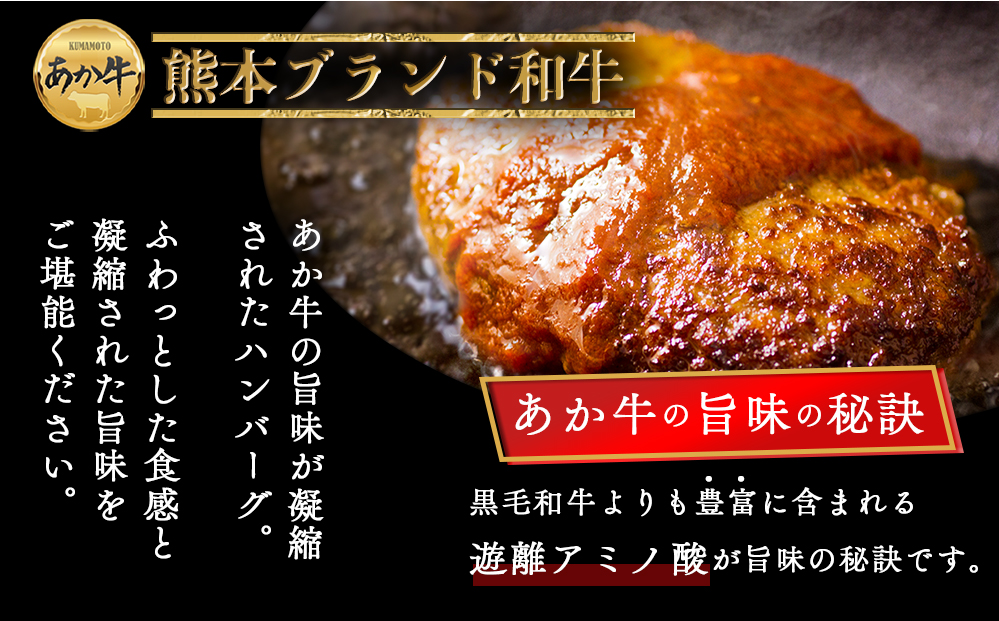 阿蘇あか牛 ハンバーグ＆ハム・ソーセージセット 阿蘇グリーンストック ペッパーフランクソーセージ あか牛ウインナー あか牛ブロック肉入りハムステーキ 冷凍 加工肉 肉 ふるさと納税 ウインナー 詰め合