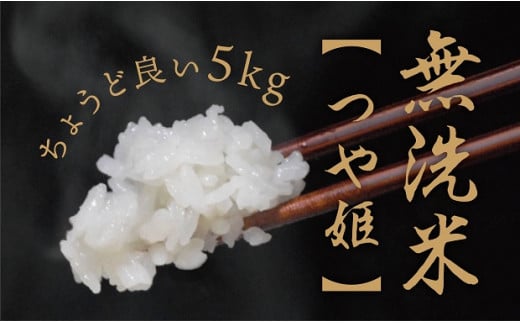 無洗米 つや姫 令和7年産 5kg 2025年産 山形県 朝日町産 精米 米 こめ コメ