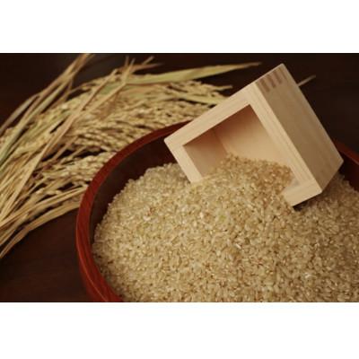 ふるさと納税 西脇市 兵庫県産　令和6年産 【コシヒカリ 玄米 20kg】(10kg×2袋) |  | 01