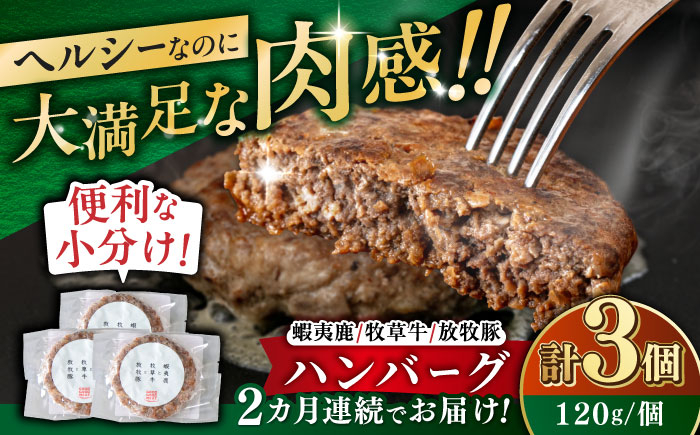 
            【全2回定期便】 【蝦夷鹿×牧草牛×放牧豚】ハンバーグ 3個 《厚真町》【GOODGOOD株式会社】 ハンバーグ 鹿肉 牛肉 豚肉 ジビエ 小分け 冷凍配送 北海道 [AXBP014]
          