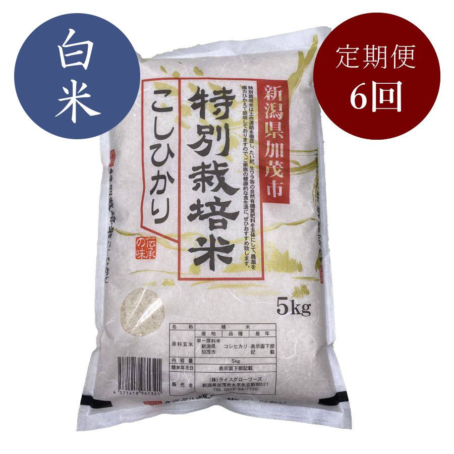 【定期便】加茂有機米生産組合の作った特別栽培米コシヒカリ 白米 ５kg×6回お届け