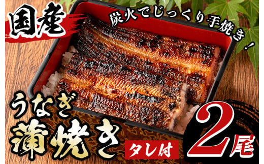 y135 国産！うなぎ蒲焼き(2尾・タレ付き) 国産 九州産 鹿児島県 宮崎県 鰻 ウナギ unagi うな重 うな丼 ひつまぶし うなじゅう 蒲焼 かばやき 有頭 魚 魚介類 土用 丑の日 タレ タレ付 おかず 惣菜 冷蔵 特産品 お土産 ギフト プレゼント ご贈答 真空パック 湯煎 レンジ 簡単調理 内容量選べる 尾数選べる えらべる 【尾方屋】