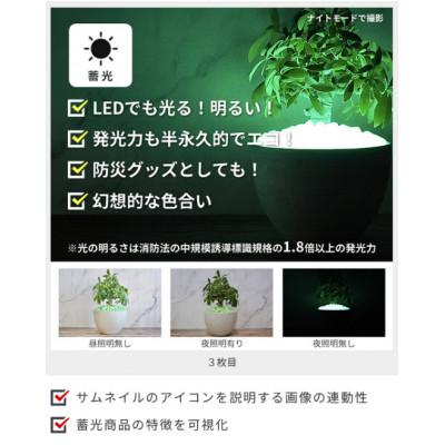 ふるさと納税 豊川市 蓄光防犯砂利　リプラスストーン　1kg　【アースグリーン】 |  | 02