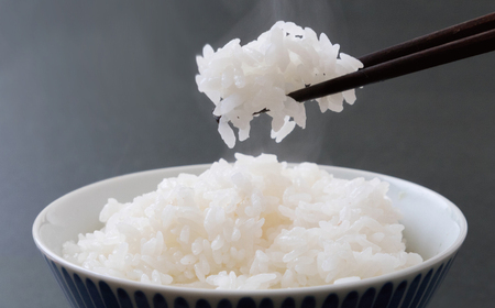 先行予約 新米 令和7年産 コシヒカリ 10kg 25000円 お米 白米 精米 米 こめ 産地直送 国産 農家直送 期間限定 数量限定 特産品 先行 事前 受付 令和7年度産 2025年産 もっちり