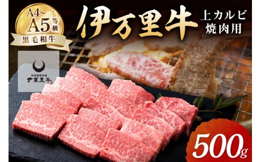 A5 A4 伊萬里牛 (伊万里牛) 上カルビ 焼肉 500g 007-J1782