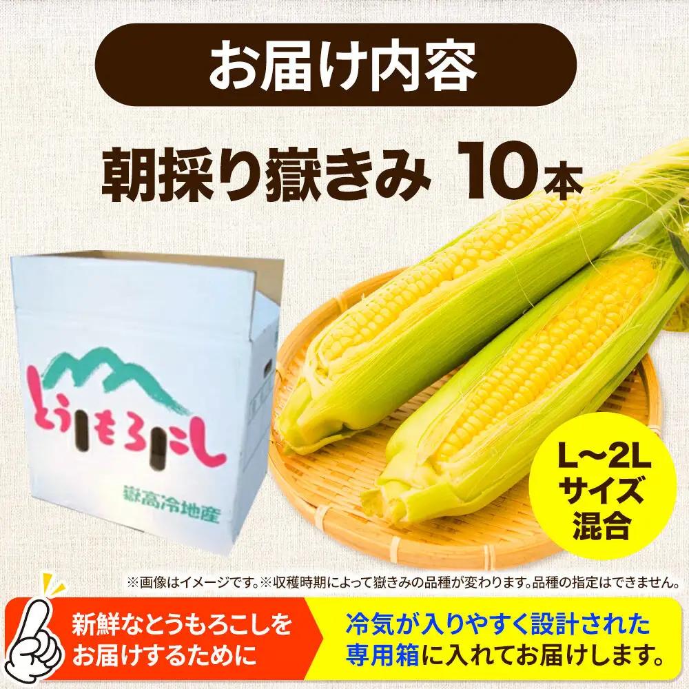 【26年7月～発送】とうもろこし 朝採り 嶽きみ（だけきみ） 10本 L～2Lサイズ 冷蔵 青森県 弘前市