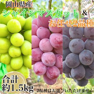 農家こだわりのシャインマスカット＆お任せ２品種  ３房合計約1.5ｋg ｜ シャインマスカット ぶどう ぶどう