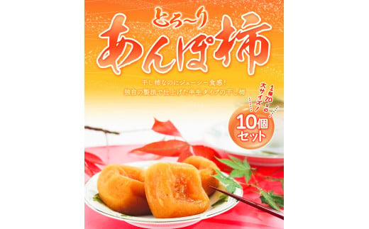 あんぽ柿大10個セット紀の里農業協同組合《90日以内に出荷予定(土日祝除く)》柿果物フルーツ---wsk_jakanpo_90d_22_12000_10c---