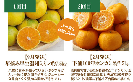 S040-018A_【訳あり 定期便5回】天草 下浦地区の農家が愛情込めて育てた柑橘5種〈先行予約〉 / 【定期便5回】 農家が愛情込めて育てた 訳あり 柑橘 5種 先行予約 早摘み 早生 温州 みか